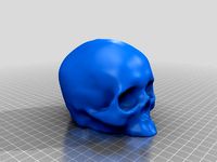 Melted Skull by venosa
