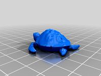 Turtle by jw12b