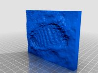 [Printable] First step on the moon by MaximSachs