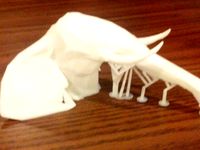 Geometric Low Poly Elephant Head Supported by McAwesome