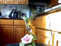 Hummingbird by mbsdemo