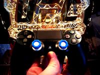 BullStick Octagon Alpha (DualShock4 Replacement Sticks) by CacheFlow