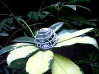 Loxodrome by kitwallace