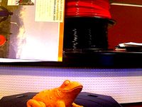 Frog Toad Scan by CMT220