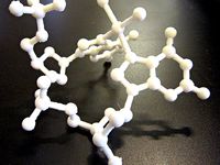 X-ray Structure of the Major Adduct of the Anticancer Drug Cisplatin with DNA: cis-[Pt(NH3)2{d(pGpG)}] by pmueller
