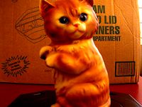 Cat Scan  by CyberneticElf2