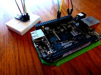 BeagleBone Black Bumper (Case Bottom) by doctek