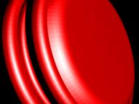 Yoyo by spiracy