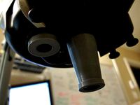 Mantis Stereo Microscope 1" Loupe Lens adapter by DogP