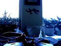 Dog Scan by makerbros