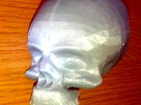 Human Skull by urosv