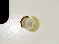 Syringe (5ml) adapter for Generic Ibuprofen or paracetamol bottle by pharmboyz