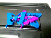 butterfly ornament by MikeT71