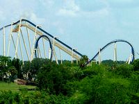 Montu at Busch Gardens Tampa by elisfkc