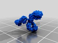 Antibody (immunoglobulin) by messica