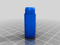 .45  bullet live by Louisa