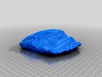 Orthoceras-1 by geofablab