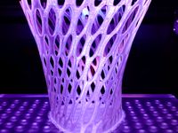 Vase Shifted #3 by piu