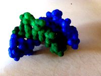 DNA molecule by aarono