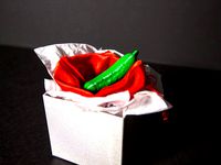 Christmas Pickle Ornament by mih
