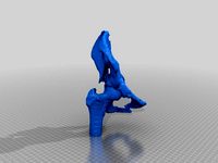 Pelvix by ansys
