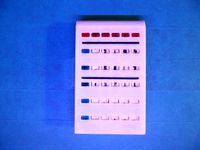 Poloh Calculator by Taito