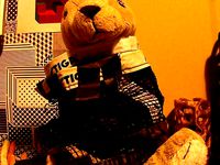 Bunny Darko by tomburtonwood