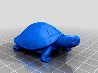 亀(Turtle)3Dデータ by YahooJAPAN