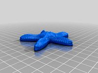 ヒトデ(Starfish)3Dデータ by YahooJAPAN