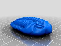 三葉虫(Trilobite)3Dデータ by YahooJAPAN