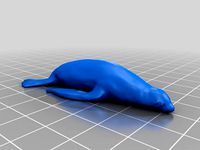 アシカ(Sealion)3Dデータ by YahooJAPAN