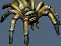 Spider by restcrew