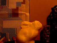 Lyman Bunny Scan 2.2 no filter by tomburtonwood