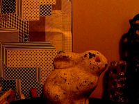 Better Lyman Bunny by tomburtonwood