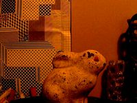 Best Lyman Bunny Yet by tomburtonwood