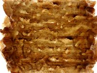 Ramen Veneer 6mm and 10mm by DesignMakeTeach