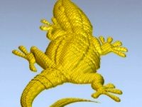 geko by poggia10
