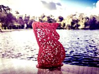 wireframe pregnant woman by justinhackney