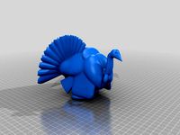 Turkey gobbler by freckles