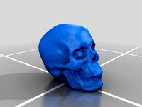 Photogrammetry Created Skull - Agisoft Photoscan by jininjin