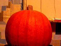 Scanned Pumpkin w. filter this time by tomburtonwood