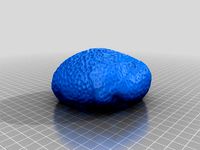 Sponge by geofablab