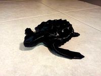 Loggerhead Sea Turtle (poseable) by 4MULE8