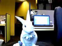 Digitizer Rabbit by dradamsiu