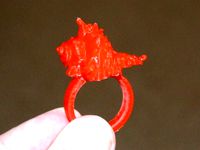 Shell Ring by mrigsby