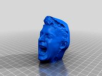 Gavin Gear's Screaming Head by gavingear