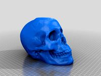 Skull 2013-10-01 04.34 PM by mcsully111