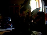 dolphin figurine by nickdisney