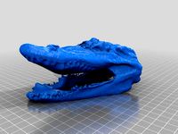 crocodile head by nickdisney