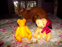 SuperTeddy by cerberus333